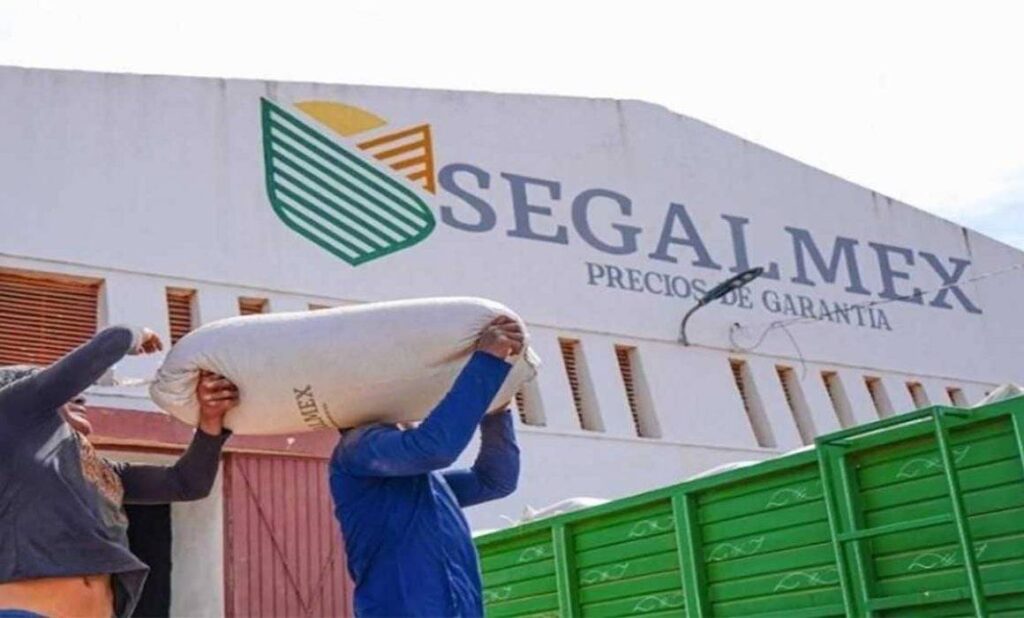 Es el mayor caso de corrupción de este sexenio que se ha documentado hasta el momento; la FGR ha iniciado más de 20 carpetas de investigación