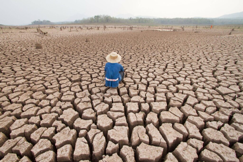  Las acciones de la humanidad están calentando la Tierra y el año pasado fue un mero anticipo del futuro catastrófico que nos espera si no actuamos ahora