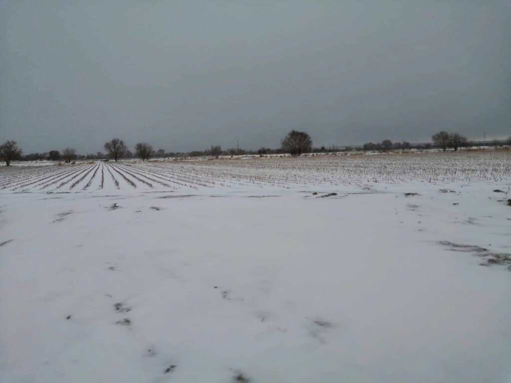 Frente frío número 24, provocó el cierre de las carreteras Ímuris-Cananea y puerto San Luis, tras el congelamiento del asfalto y caída de nieve en la sierra