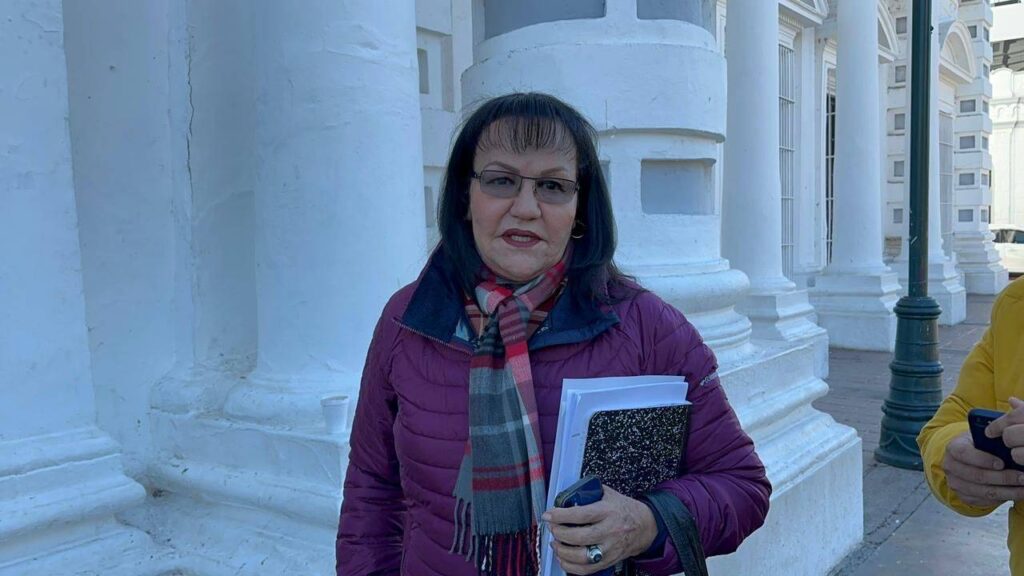 La titular de Sagarpa, detalló que es en campos agrícolas del sur y centro del estado donde registraron cosechas congeladas. 
