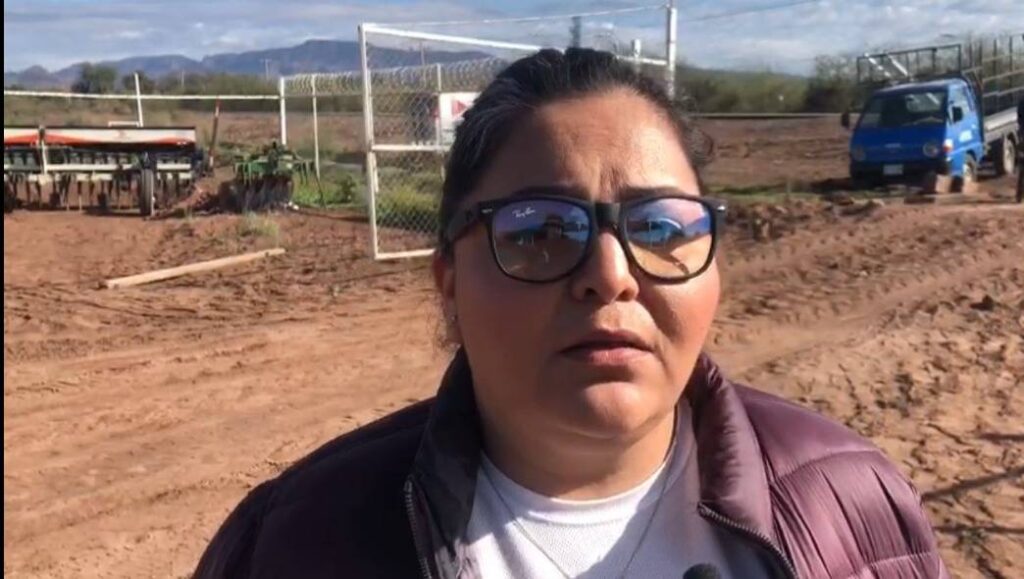 Plantearán la desaparición de menores ya que durante el mes de enero al menos cinco adolescentes han sido reportados a los colectivos como desaparecidos