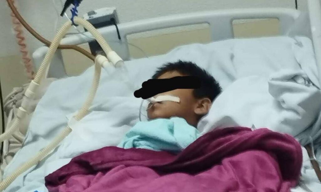 Por Antonio López Pablito, el niño yaqui de 8 años que mientras dormía en su casa en Vícam fue alcanzado por una bala perdida, comienza a recuperarse, lento pero ahí la lleva, es lo que reportó la periodista Águeda Barojas en sus redes sociales. “Ayer fue su cumpleaños, ya abrió los ojos, ya platicó con su mamá, pidió sabritas. Seguramente cuando salga del hospital, tendrá un gran festejo. Volvió a nacer”. No estaba en el lugar equivocado, ni a la hora equivocada, ni "andaba mal". Estaba dormido en casa, mientras los que andan mal, se paseaban por el pueblo echando bala.