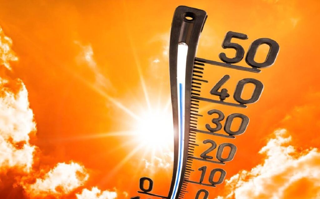 Inició mal este 2024 en materia del cambio climático, ya que, según organismos internacionales, enero fue el mes más caluroso desde que se tienen registros